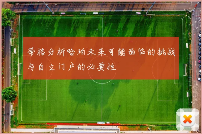 蒂格分析哈珀未来可能面临的挑战与自立门户的必要性